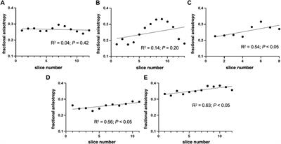 Correlation between diffusion tensor indices and fascicular morphometric parameters of peripheral nerve